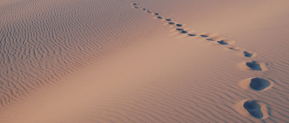 Digital Step - Walking Your Business Through An Online Journey